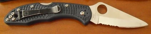 Spyderco Delica 4 -Outlet Camping Store Delica4 PS FRN