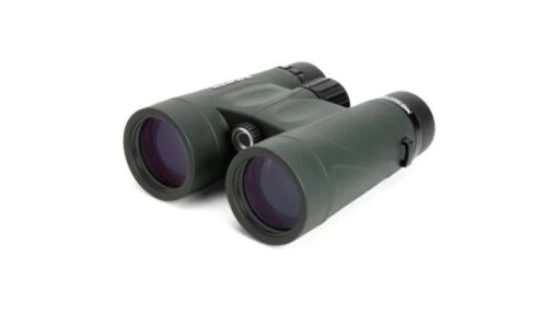 Celestron Nature DX 10x42mm Roof Prism Binoculars -Outlet Camping Store opplanet celestron nature dx 10x42 binoculars 71333 ci bi 71333 main