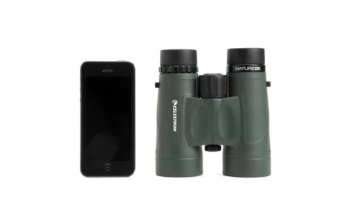 Celestron Nature DX 10x42mm Roof Prism Binoculars -Outlet Camping Store opplanet celestron nature dx 10x42 binoculars 71333 ci bi 71333 use1