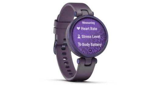 Garmin Lily Women Smartwatch -Outlet Camping Store opplanet garmin lily smartwatch womens black currant deep orchid silicone 010 02384 02 av 2