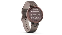 Garmin Lily Women Smartwatch -Outlet Camping Store opplanet garmin lily smartwatch womens cocoa paloma leather 010 02384 a0 av 2