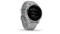 Garmin Vivoactive 4S GPS Smartwatch -Outlet Camping Store opplanet garmin vivoactive 4s gps smartwatch powder gray silver 010 02172 01 av 2