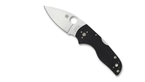 Spyderco Lil' Native Compression Lock Folding Knife -Outlet Camping Store opplanet spyderco lil native g 10 mid back lock plainedge folding knife black c230mbgp main