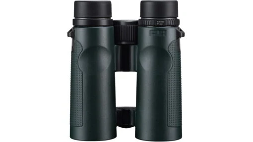 Vanguard ED Glass HD 10x42 Binoculars -Outlet Camping Store opplanet vanguard ed glass hd 10x42 binoculars green veo hd 1042 av 15